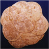 Abhiruchi Swagruha Bobbatlu - Click here to View more details about this Product
